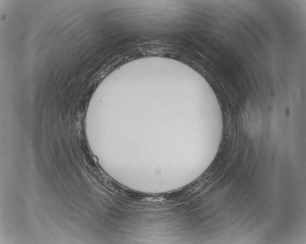 X0000052980271200507291559