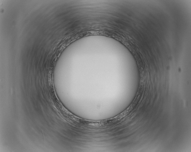 X0000052980272200507291559