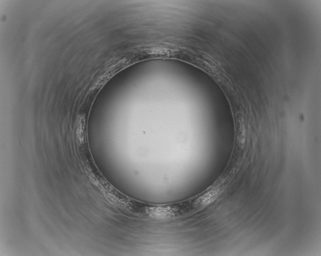 X0000052980273200507291559