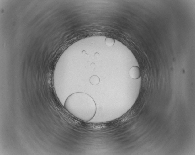 X0000052980274200507291559