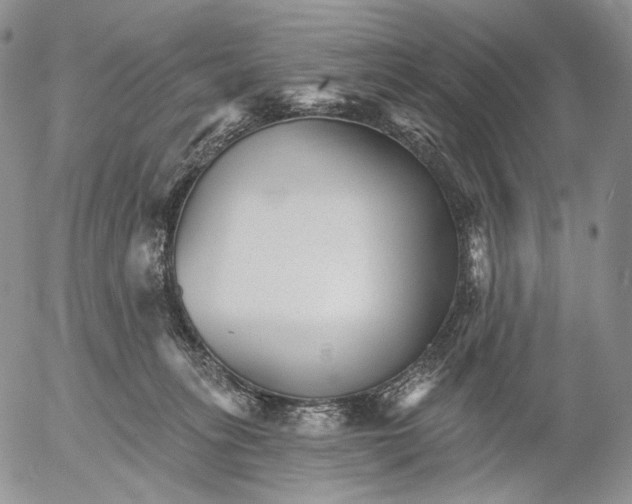 X0000052980275200507291559