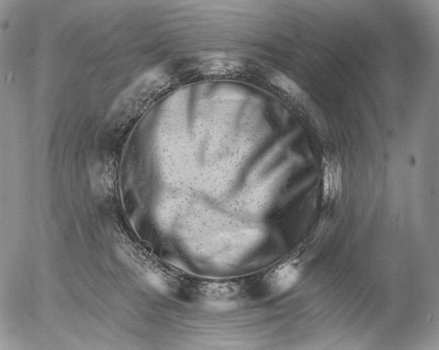 X0000052980277200507291559