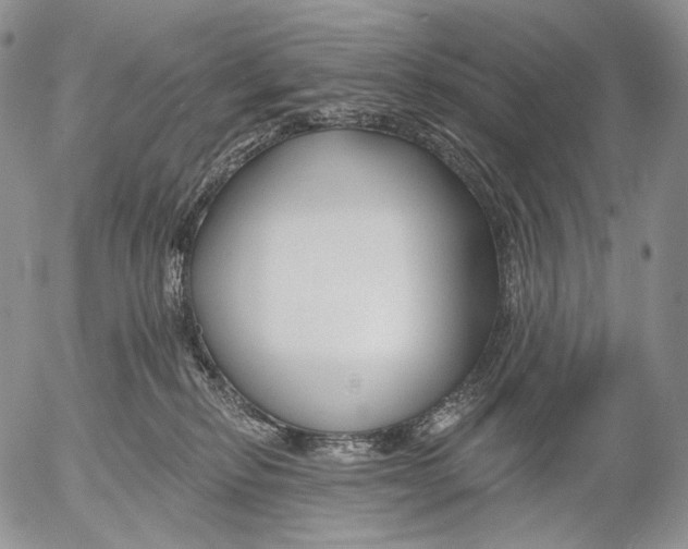 X0000052980278200507291559