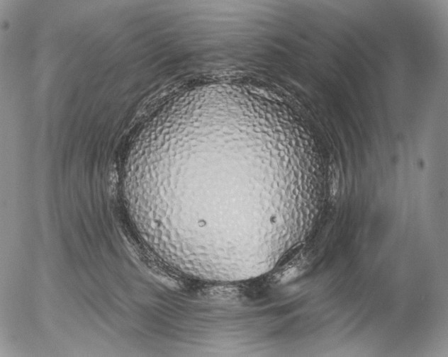 X0000052980279200507291559