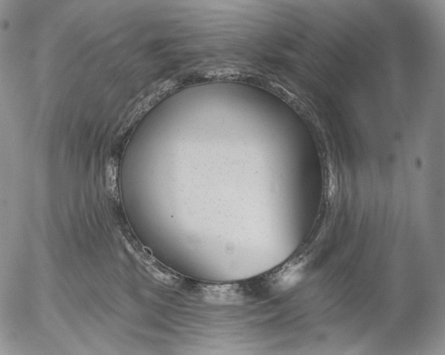 X0000052980281200507291559