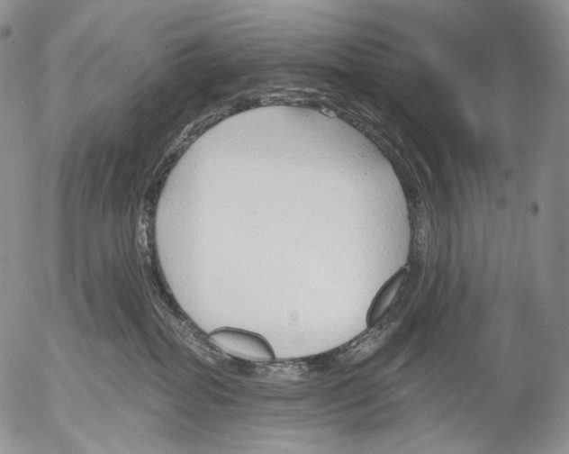 X0000052980282200507291559