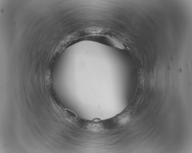 X0000052980283200507291559