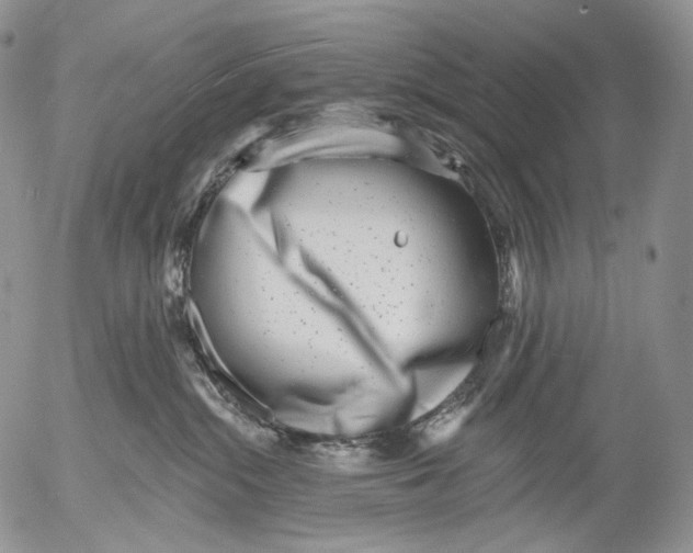 X0000052980284200507291559