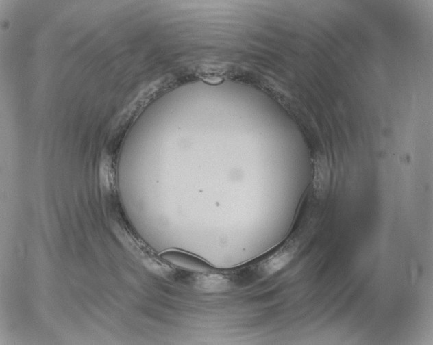 X0000052980287200507291559