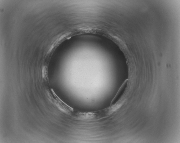 X0000052980288200507291559