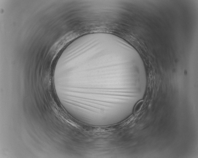 X0000052980290200507291558