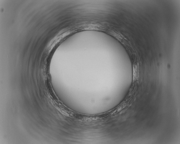 X0000052980291200507291558