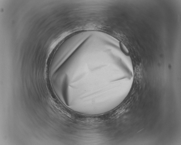 X0000052980292200507291558