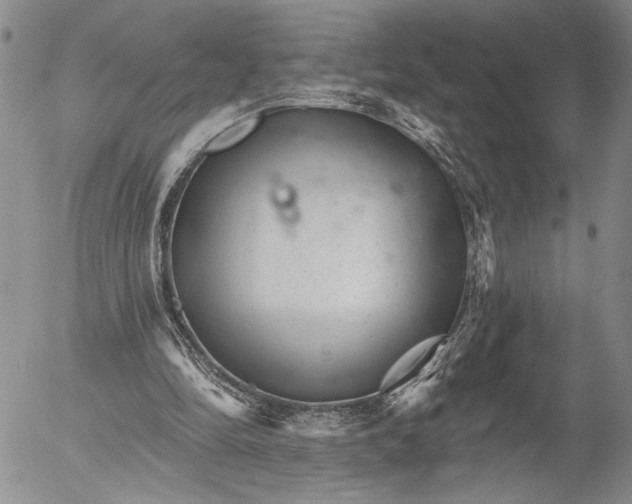 X0000052980294200507291558