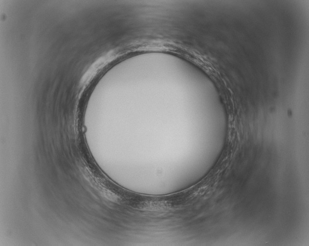 X0000052980296200507291558