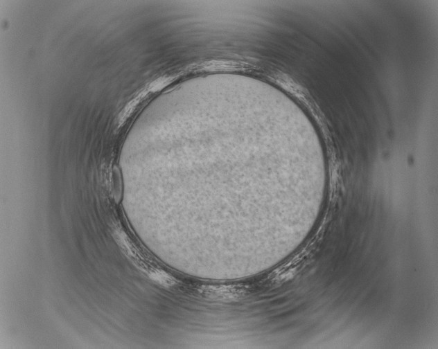 X0000052980297200507291558