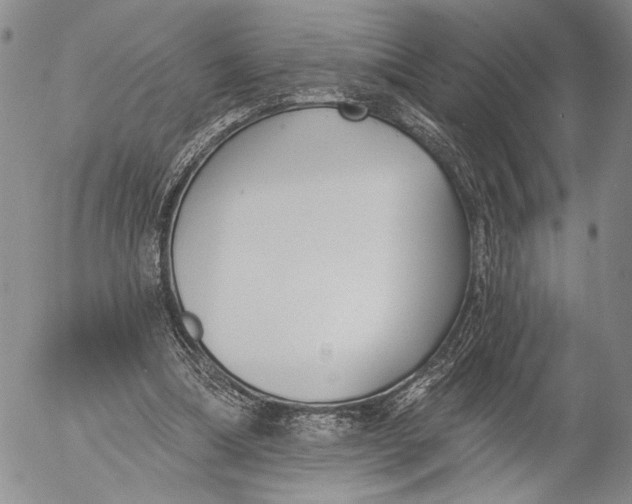 X0000052980298200507291558