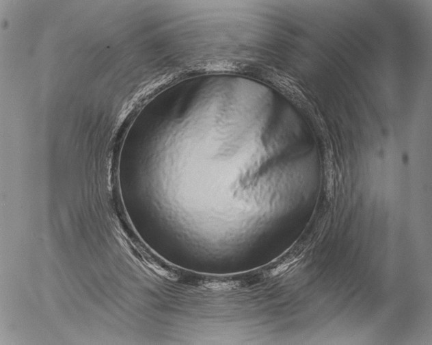 X0000052980299200507291558