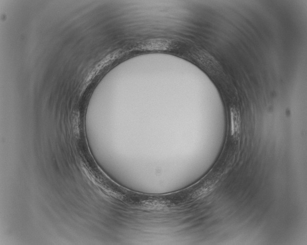 X0000052980300200507291558