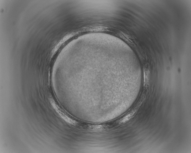 X0000052980301200507291558