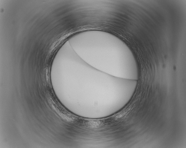 X0000052980302200507291558