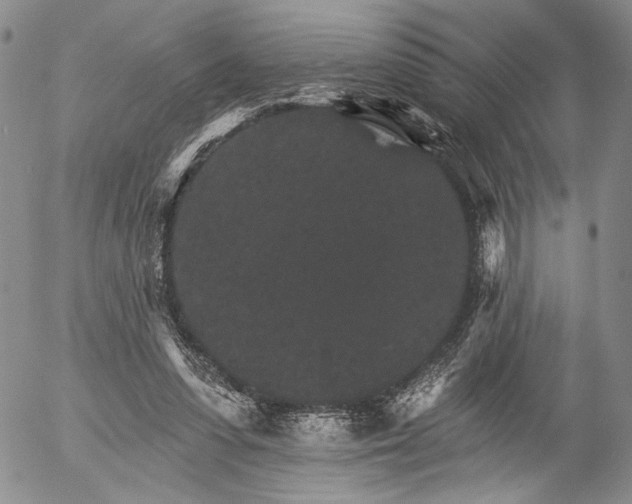 X0000052980303200507291558