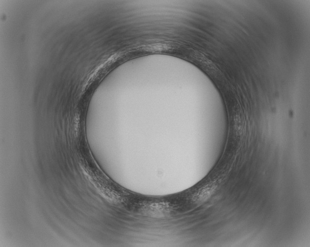 X0000052980304200507291558