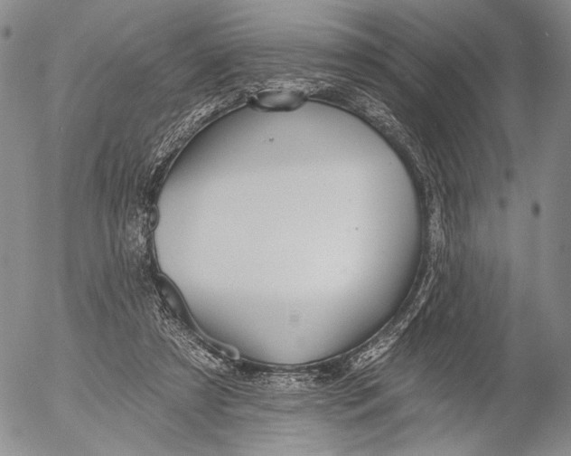 X0000052980305200507291558