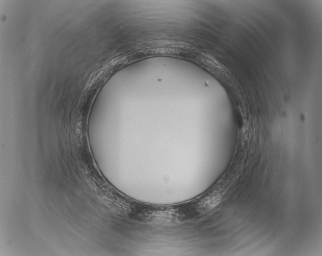 X0000052980306200507291558