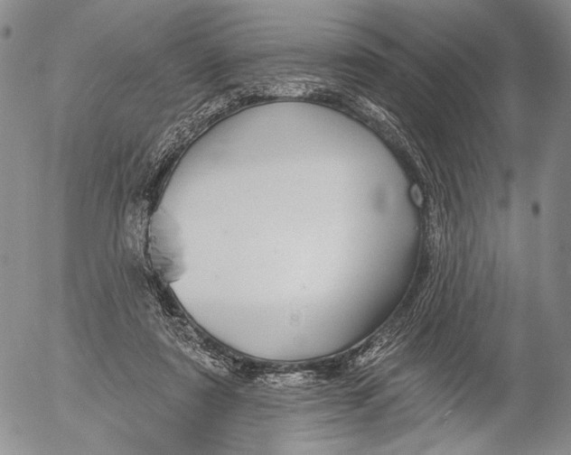 X0000052980307200507291558