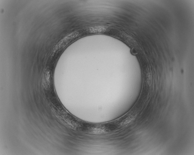 X0000052980308200507291558