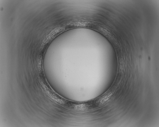 X0000052980309200507291558