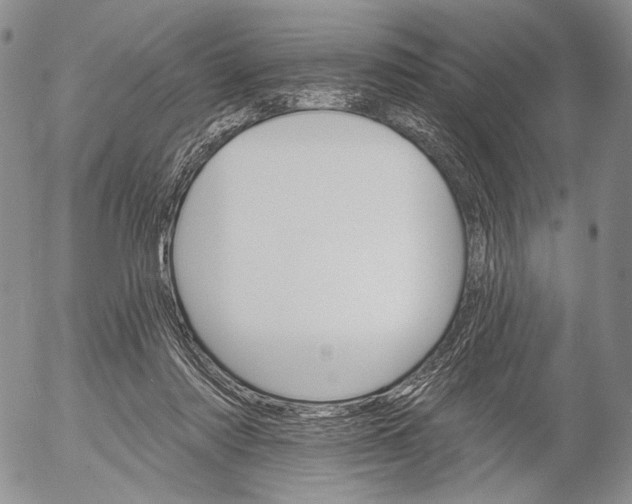 X0000052980310200507291558