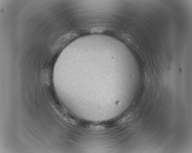 X0000052980311200507291558