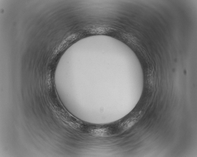 X0000052980312200507291558