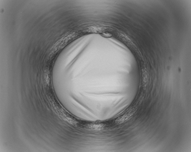 X0000052980313200507291558