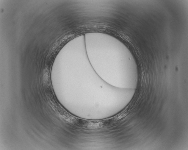 X0000052980314200507291558