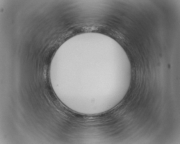 X0000052980315200507291558