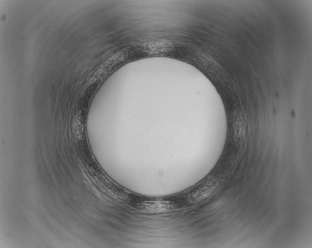 X0000052980316200507291558