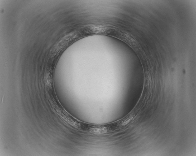 X0000052980317200507291558