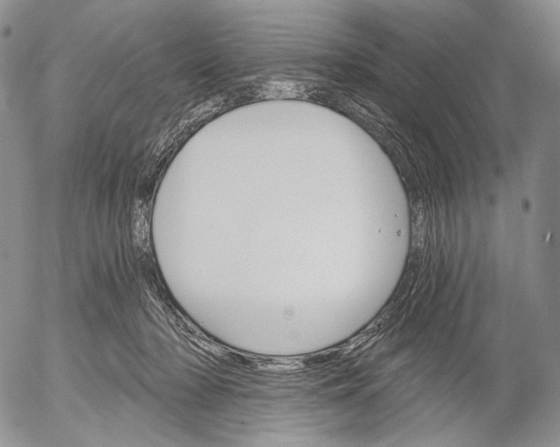 X0000052980318200507291558