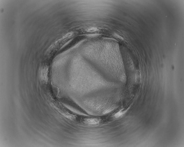 X0000052980319200507291558