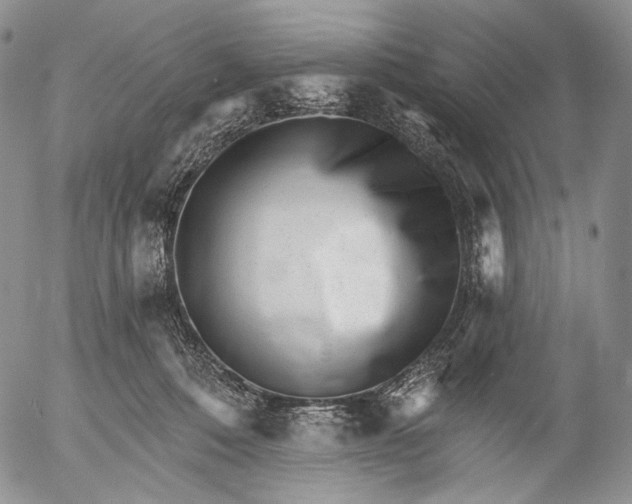 X0000052980320200507291558