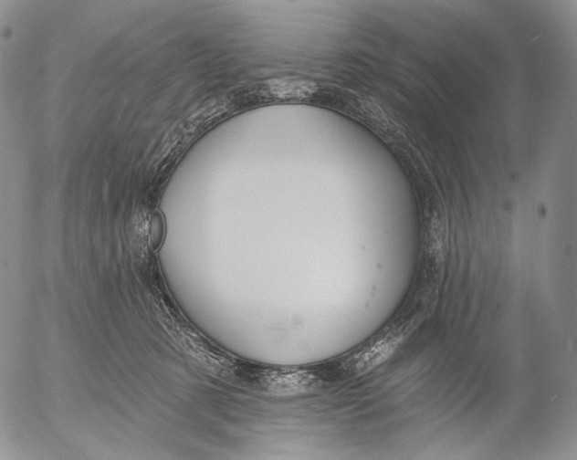 X0000052980321200507291558