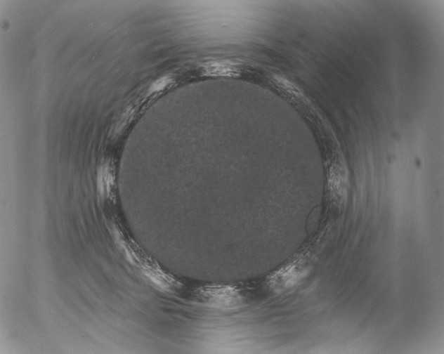 X0000052980322200507291558