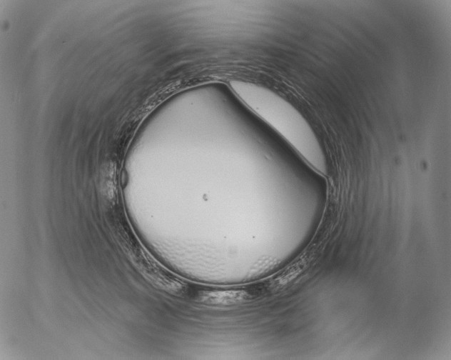 X0000052980323200507291558