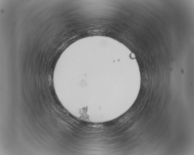 X0000052980324200507291558