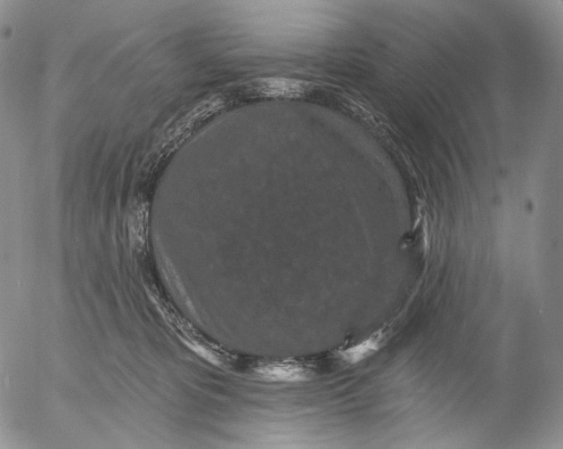 X0000052980325200507291558