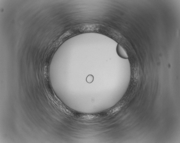 X0000052980326200507291558