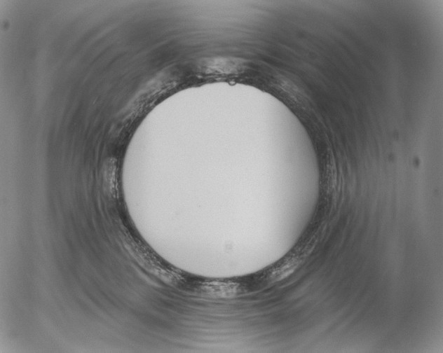 X0000052980328200507291558